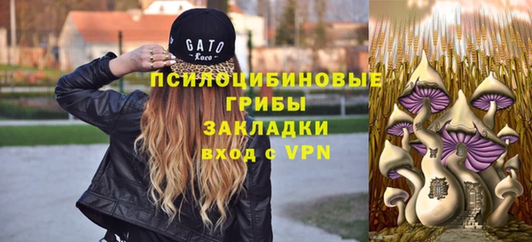 ECSTASY Абаза