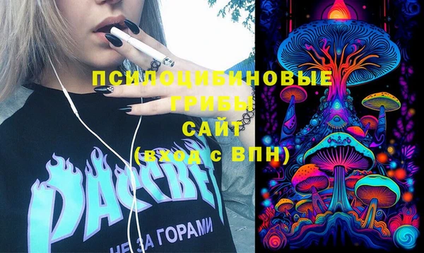 ECSTASY Абаза