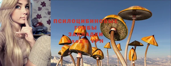 spice Медвежьегорск