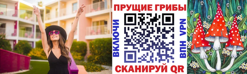 купить   Яхрома  Псилоцибиновые грибы MAGIC MUSHROOMS 